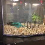 Photo by Bartholomew & Philip (@StJoePets)