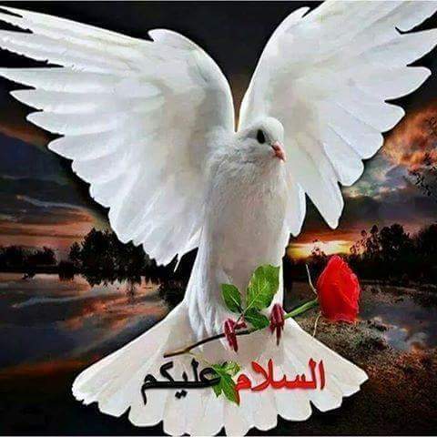 الحب المستحيل (@mahdeebasem) on Twitter photo 