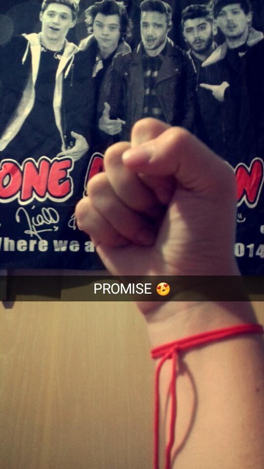 justmeagain98's tweet photo. PROMISE #PROMISEPROJECT #PromiseYouWillReturnBack #PromiseDirectioner #Promise @onedirection prometo ficar até o fim https://t.co/xO7XQnEF9Q