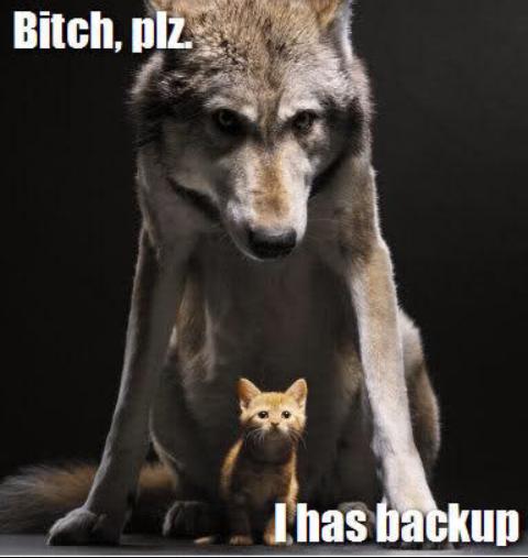 originaltacocat's tweet photo. #AnonFamily @DesertTacocat @4nbltruths @TanyaInAlameda @forever_tron @WeNeedMoreTruth @TrutherbotErgot https://t.co/uQ6PhFUSiY