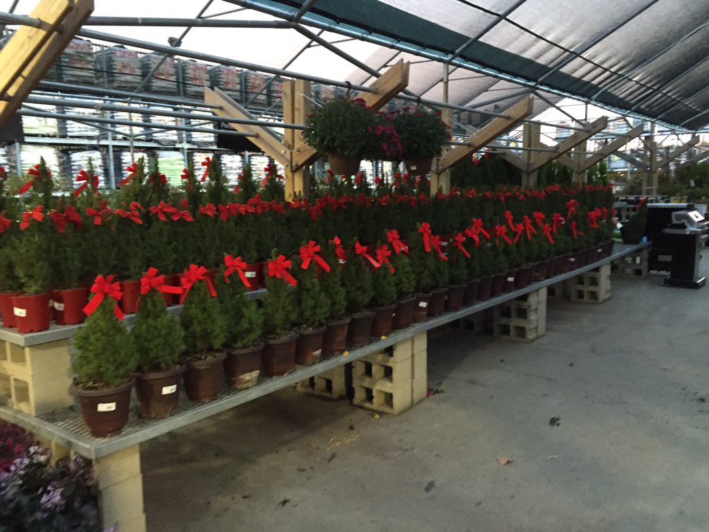 Phillipdanasta3's tweet photo. Christmass has arrived in D6209 https://t.co/IGROCh8I2N