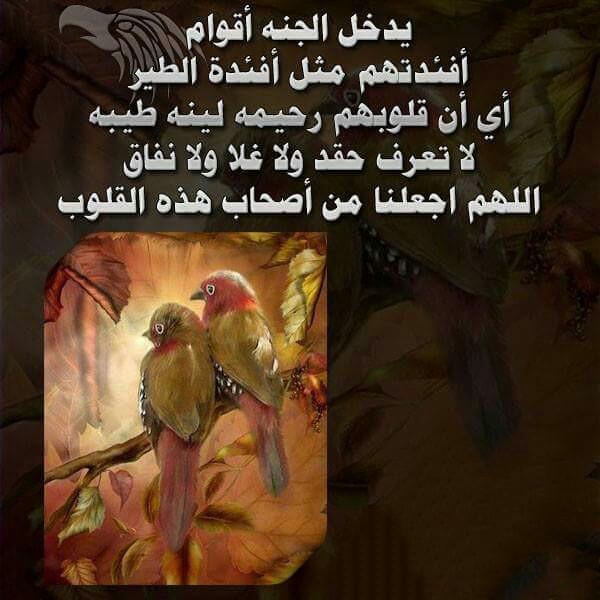 567sed's tweet photo. https://t.co/b2VNiOJafh