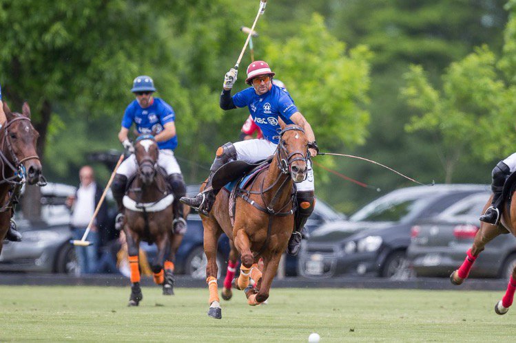 lasmonjitaspolo's tweet photo. Machitos Abril nominada mejor yegua #HurlinghamOpenHSBC cría @lasmonjitaspolo @camilobau1956 https://t.co/tASzNfLv8Z
