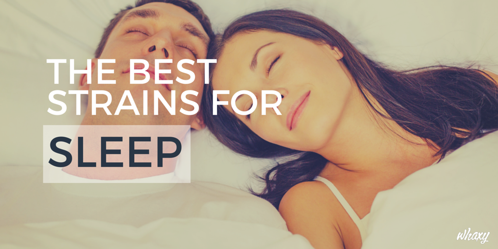 whaxyapp's tweet photo. Trouble Sleeping? These Top-Rated #Cannabis Strains May Help: https://t.co/TKyRQu48pD #sleep #timetosleep #INSOMNIA https://t.co/0AxlCL0Okn