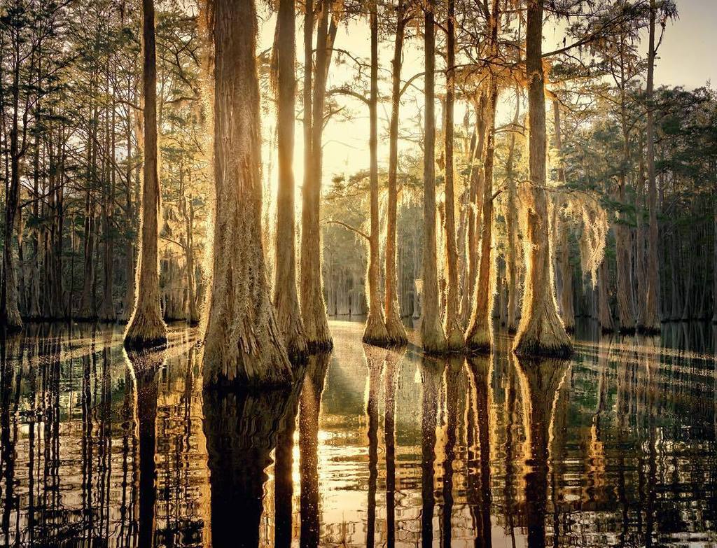 ExploreGeorgia's tweet photo. Y'all, this view is something else! It takes our breath away. [📷: Philip Wages] #ExploreGe… https://t.co/7Y8zkiTM1p https://t.co/FjwPclzOGf