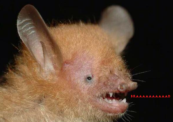 radzedrules's tweet image. 