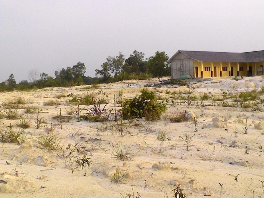 qodri1970's tweet photo. inilah Resiko mendirikan kampus di lahan eks tambang, masih butuh dana besar untuk menata dan menghijaukannya #AKBM https://t.co/EzIIQJqwBL