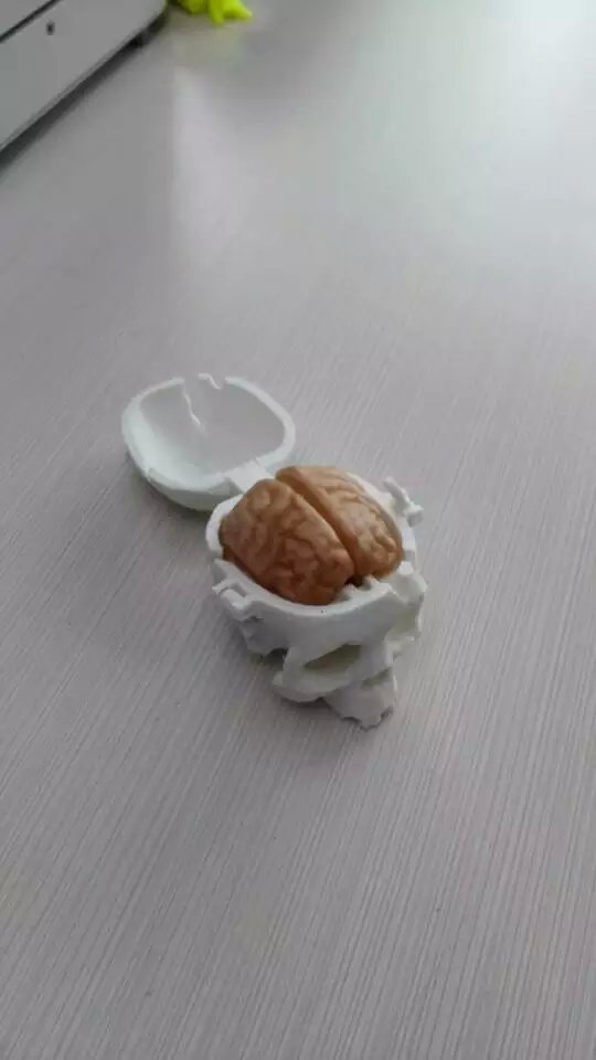 #3dprinted #skull #brain #3dprinting #b3d 
email: mikey@iceman3d.com