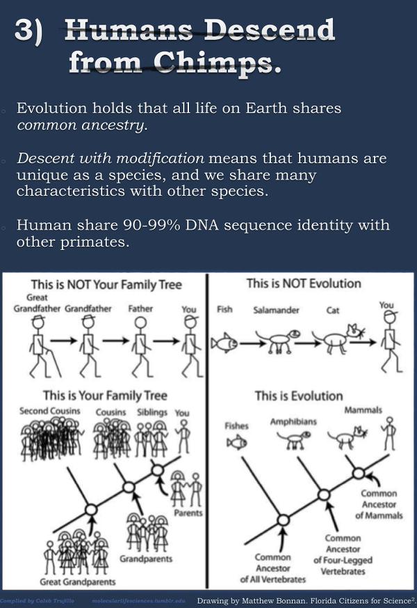DoYouScience's tweet image. Popular misconceptions about evolution that everybody should know: