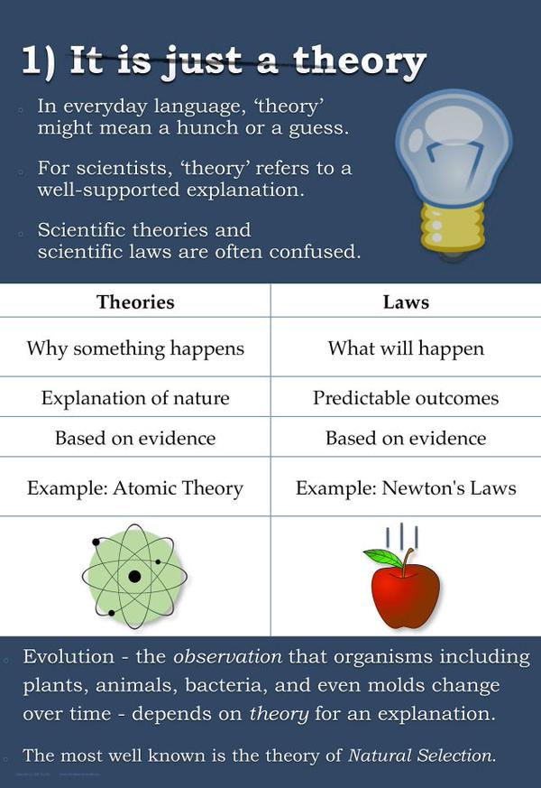 DoYouScience's tweet image. Popular misconceptions about evolution that everybody should know: