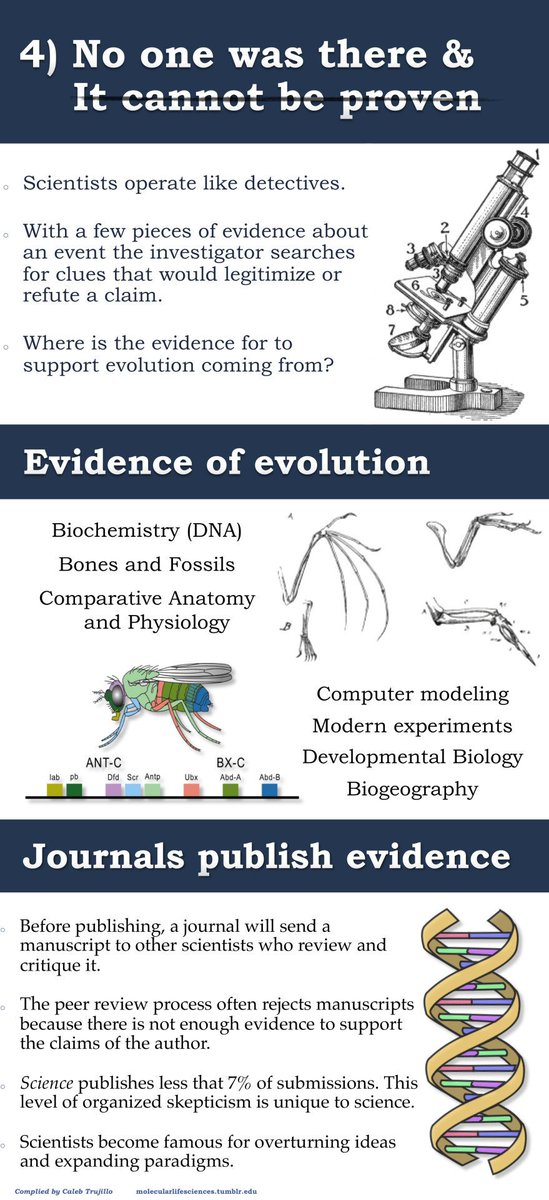 DoYouScience's tweet image. Popular misconceptions about evolution that everybody should know: