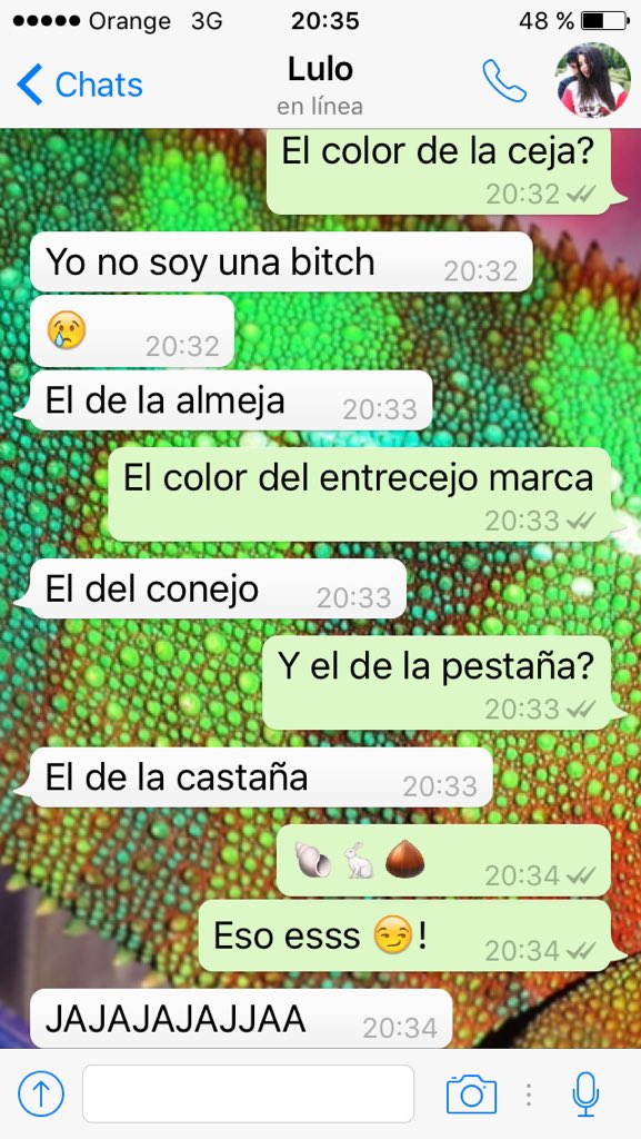 nachorubio4's tweet photo. Conversaciones de dioses #godofolympus @LuciaLo_ https://t.co/2R8cy9xuYu