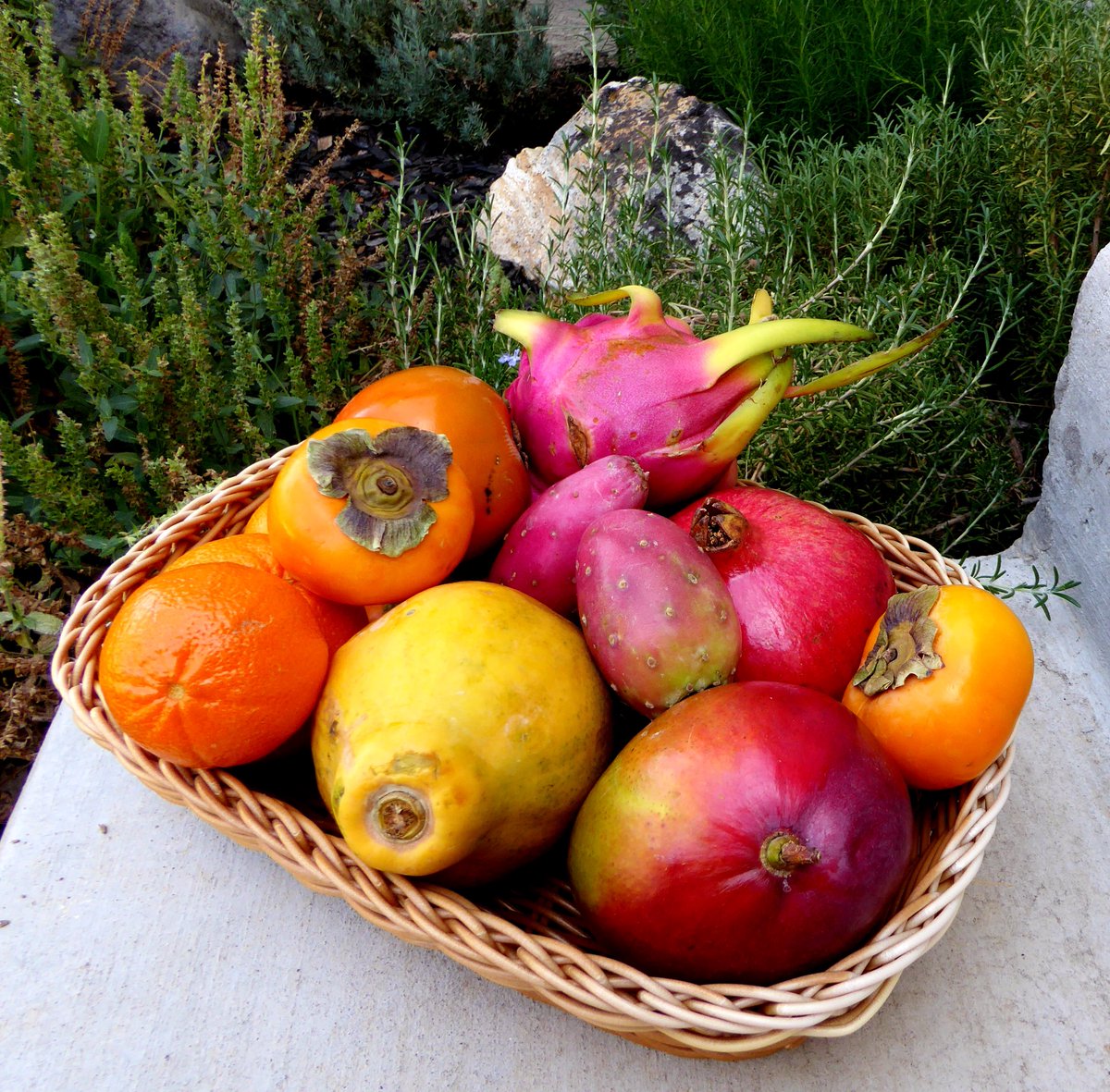 FoodPaths.com tweet media