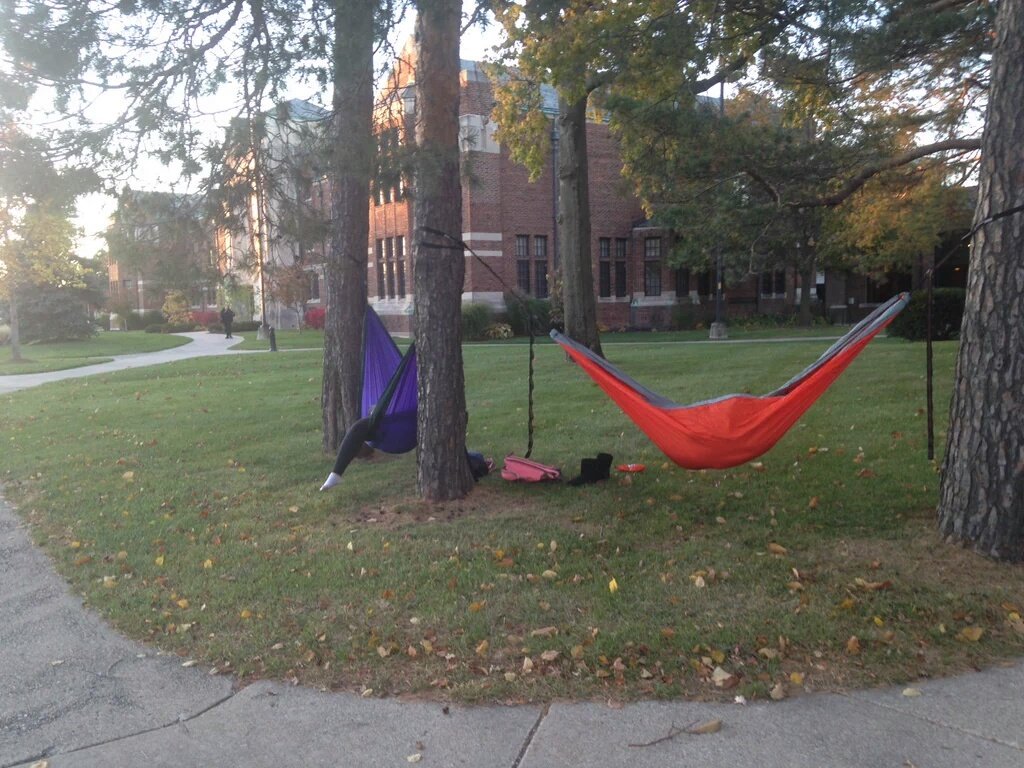 emu2020's tweet photo. When you can't go home but the need for a nap is real  😂😂 https://t.co/6BKBizwf8D