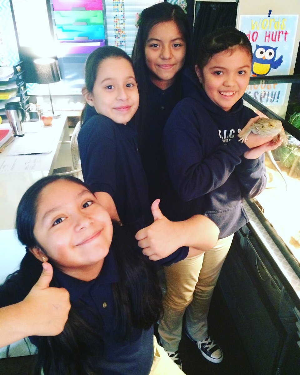 Ms_Swick's tweet photo. Quarter 2 Lizard Team! The kids just love to take care of our class pet in 5th grade. https://t.co/wKzKNf7lH3