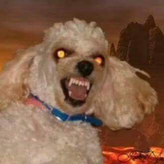heterofobiko's tweet photo. tô dormindo e alguém acende a luz https://t.co/e3r7iSCtSc