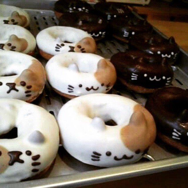 Foodthoven's tweet photo. Thought these were pretty nifty! Tag someone to get donuts for you! #food #foodporn https://t.co/CfDqE6taPy