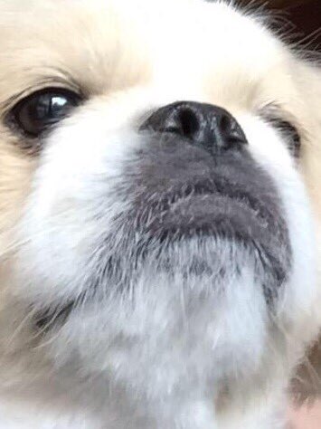 texasprcttyboy's tweet photo. When you tempt to rp with someone and they ignore you and rp with someone else https://t.co/7BCsOzSfbD