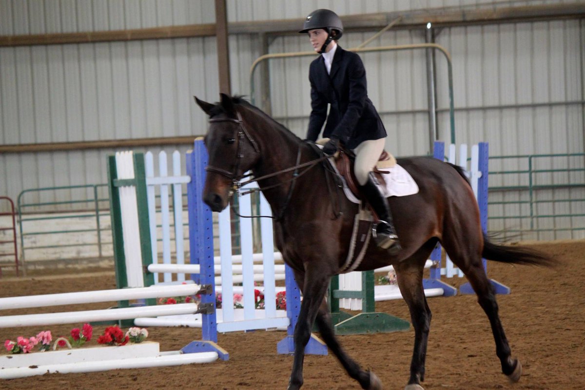 Senior <a href="/elainabade/">Elaina Bade</a> qualified for regionals with her flawless flat classes this weekend. Congratulations!! <a href="/AUrecfit/">AURecFit</a>