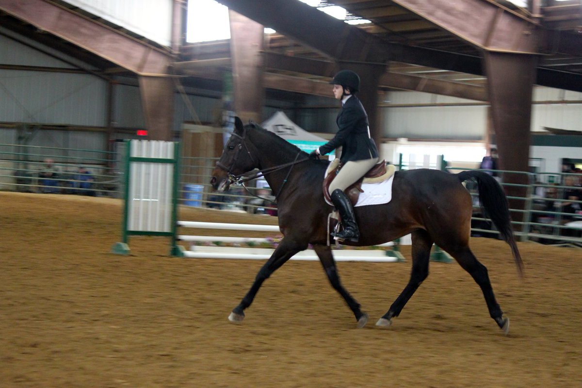 Wow. What a great pair. Congratulations to Elizabeth Kazan ('19) for a great weekend! 💙❤️ #RideIHSA <a href="/AUrecfit/">AURecFit</a>