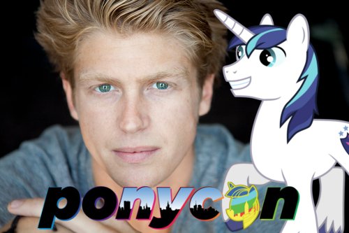 ponyconMLP's tweet photo. Ponycon's 2nd #MLPFiM guest announcement tonight is ANDREW FRANCIS @DrewFrancis604 voice actor for Shining Armor! https://t.co/iS0k9iFBIC