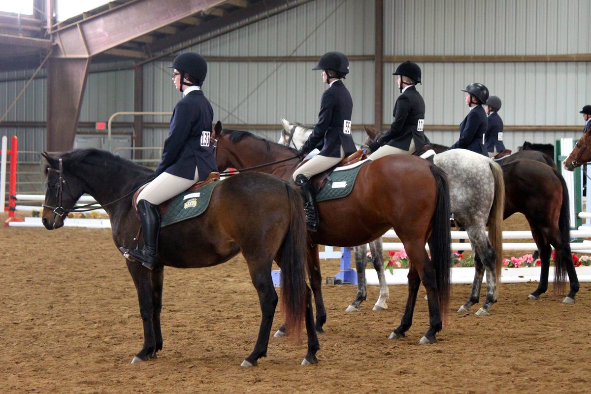 Fantastic riding Megan Ewell ('18)! You did a wonderful job 💙❤️ #AUEQ #RideIHSA <a href="/AmericanU/">American University</a>