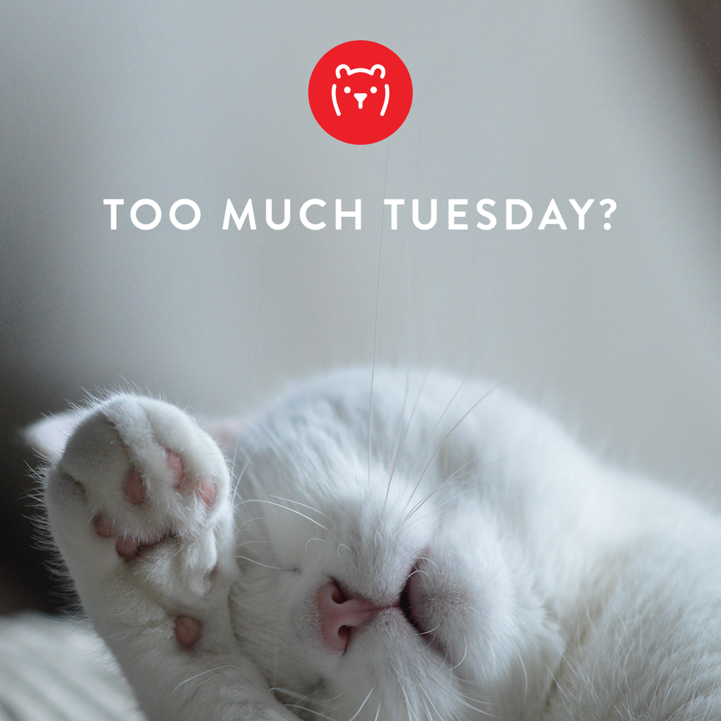 Fuzzie - Gifting App tweet media