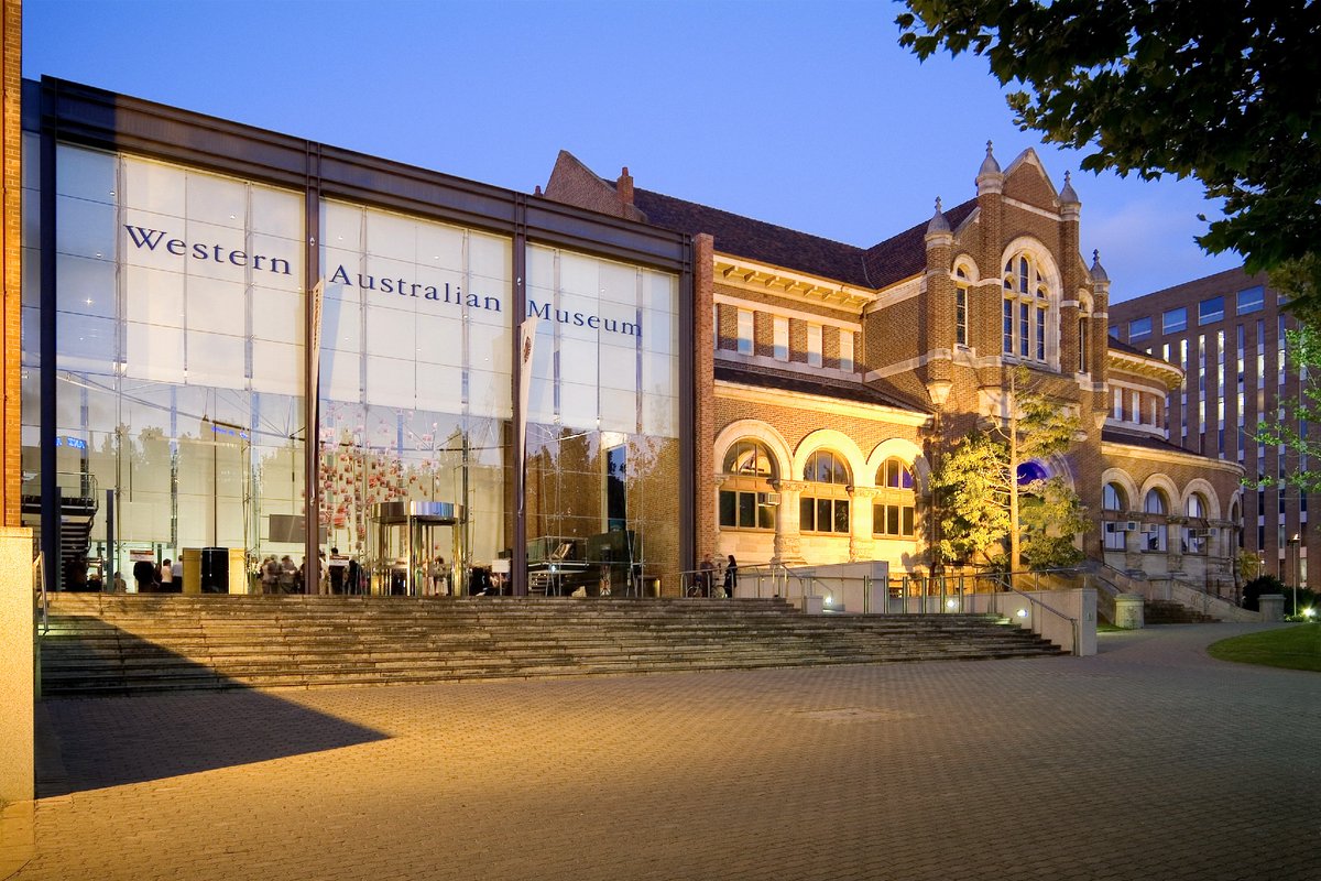 wamuseum's tweet photo. Explore the WA Museum - #Perth during @openhouseperth this weekend https://t.co/qkFWmk66pe #OpenHousePerth #OHP2015 https://t.co/wGyBqrPCrn