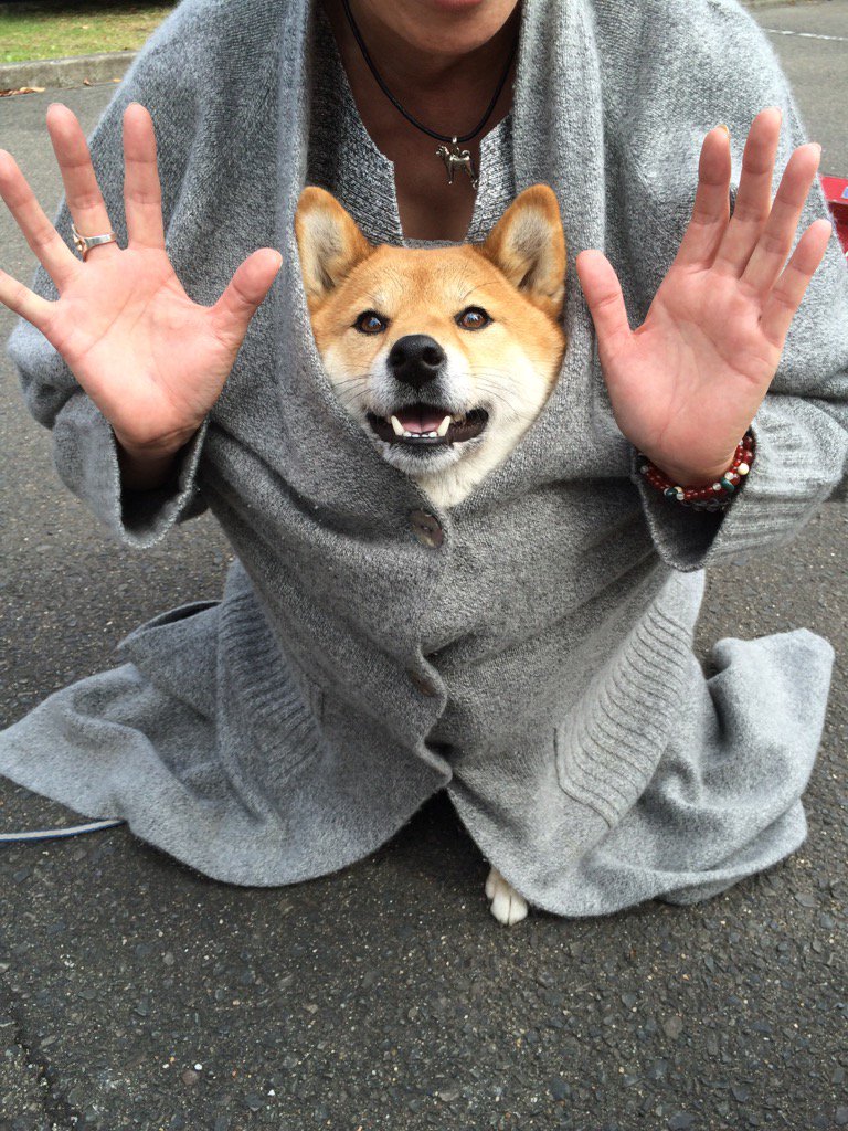 おちょ tweet media