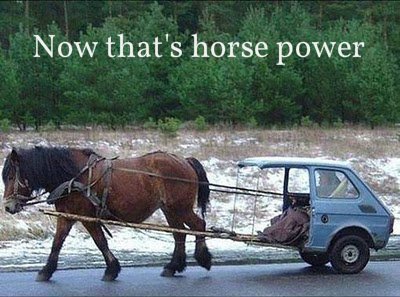BPSauto's tweet photo. Hope everyone's enjoying the #MelbourneCup we know how to appreciate #horsepoer here at BPS! https://t.co/Oohw0LDxtt