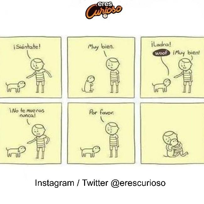 EresCurioso's tweet photo. 🐶 https://t.co/m37xP2ohUt