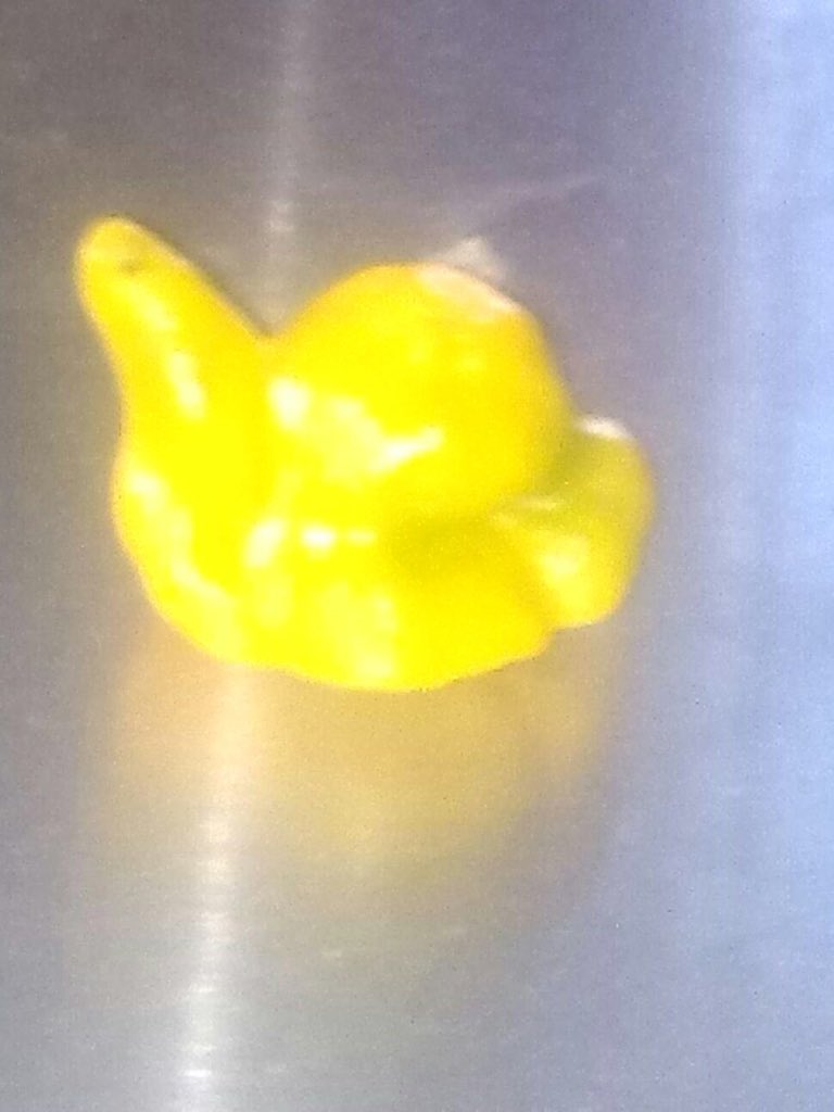 Is this a pepper or teapot? #Pepper #teaparty #health #natural #organic
