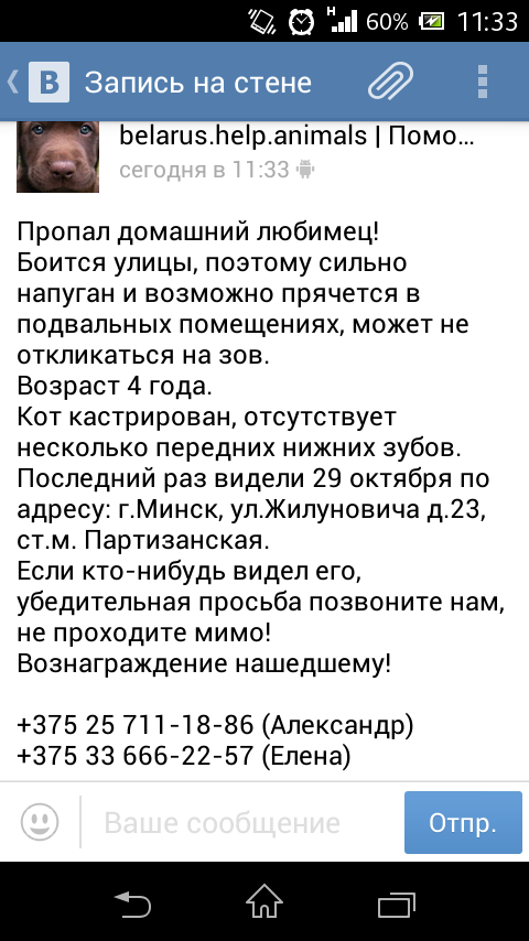 dulebskaya's tweet photo. @elkasinger Здравствуйте, Лиза) репост, пожалуйста🙏 потерялся котик, боится улицы😿 https://t.co/SjRrbRCZmk