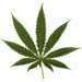 iStandWithUSA's tweet photo. 71% stands for "No Legal #Marijuana" in #USA

Vote your stand:

https://t.co/YWS0fp3Gt7 https://t.co/ejxBwWjQRd