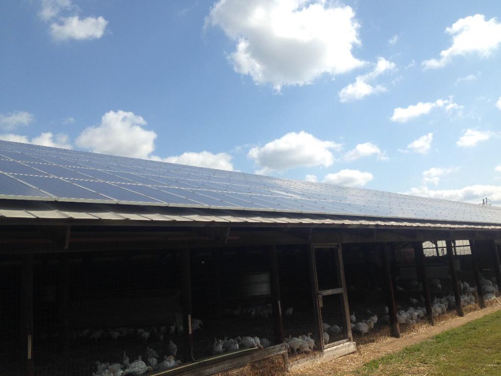 change2solar's tweet image. Happy November. Here&apos;s a solar array on a turkey coop. #solarpower #turkey #SolarPanels
