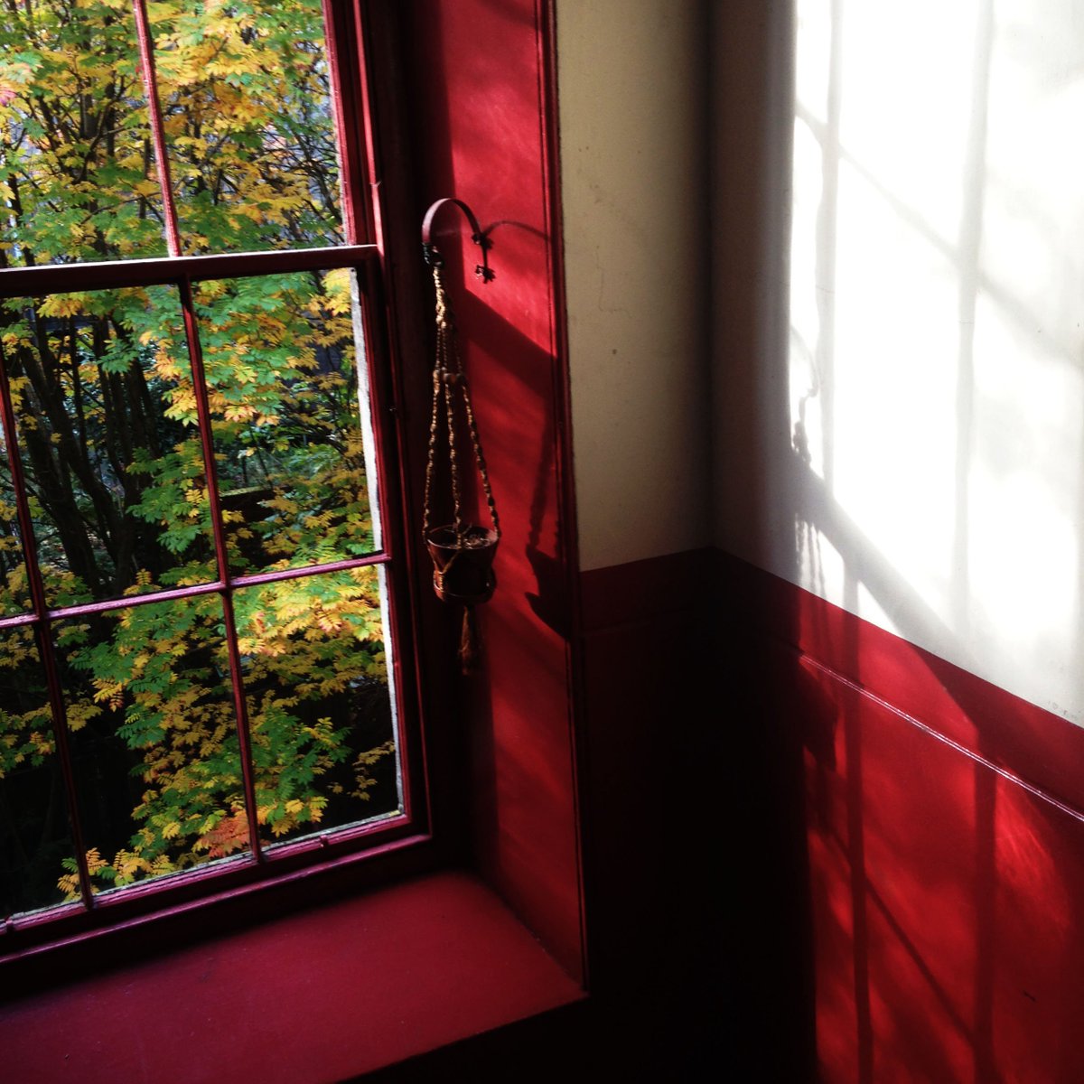 MackandRose's tweet image. I love a sunny autumnal moring #Glow #CrispAndCold