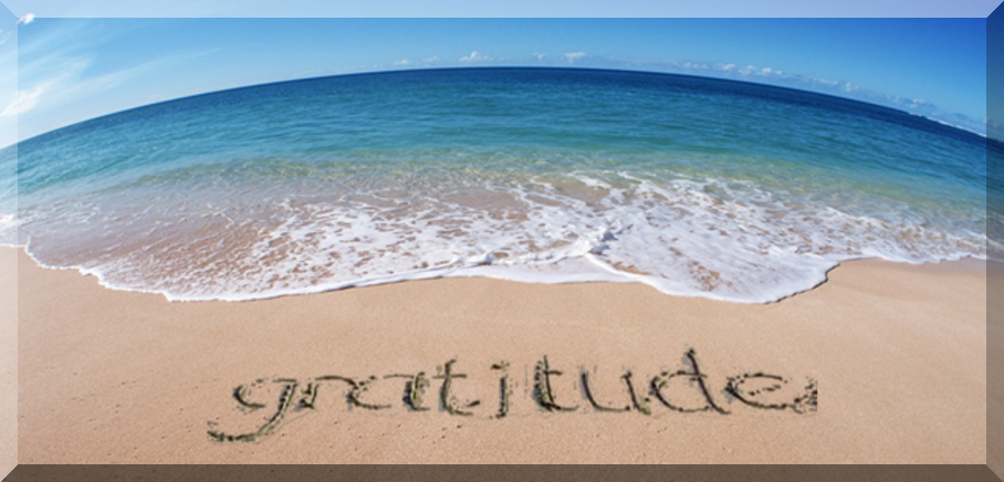 Gratitude_Note's tweet photo. Gratitude is the best attitude~ #gratitudejournal #grateful #monthofgratitude https://t.co/vHs6lvjjtQ