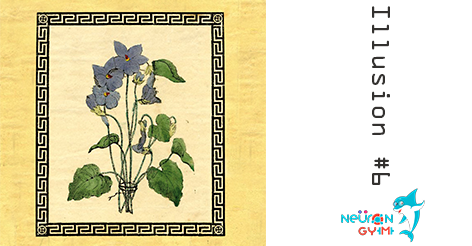 neurongym's tweet image. Ambiguous figures like this one force you to choose what you see-the faces or the flowers. #illusions #neurongym