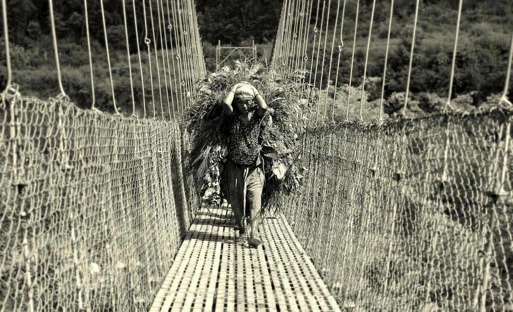 pro84547140's tweet photo. People work to #survive #Nepal #myphotography https://t.co/TPm8cxM381