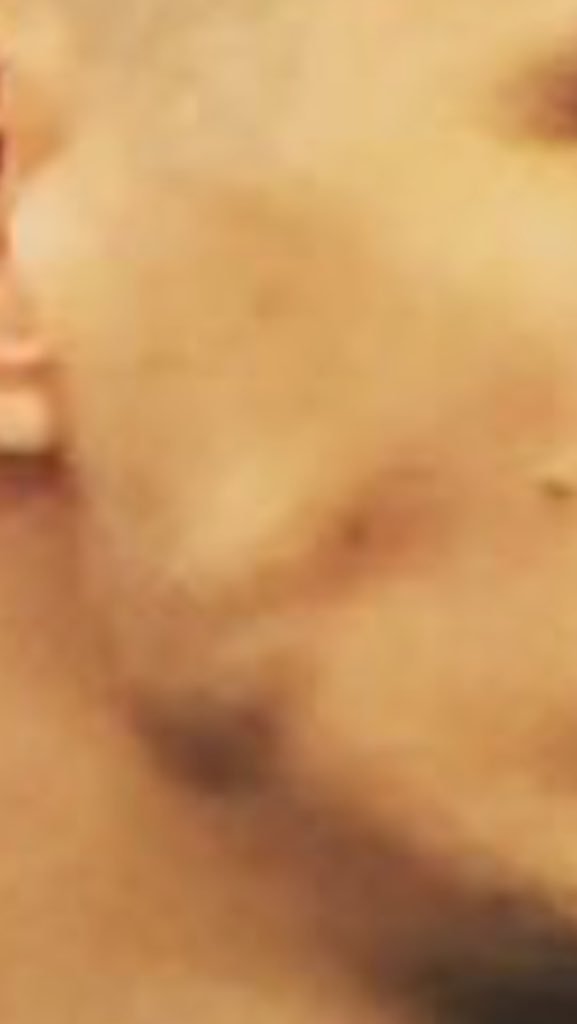 Rixton101's tweet photo. One last #MorganMonday in honor of Lewi's jaw in this photo👌🏻 https://t.co/hABUrg8PAt