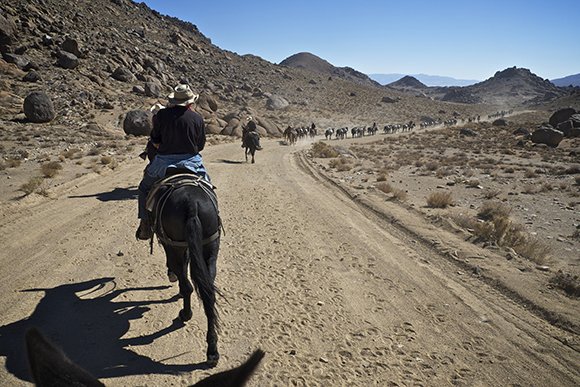 Onehundredmules's tweet photo. Things look different from the back of a mule. #100Mules screening on 11/5 @VidiotsVideoLA https://t.co/r0ECZLCaO1 https://t.co/XAJZqrmNMn