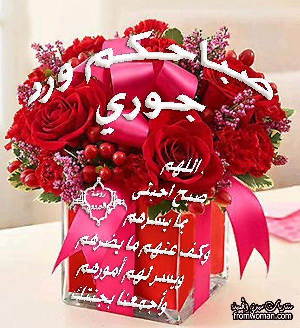 صلاح العراقي (@oeinssjlvg7elbo) on Twitter photo 