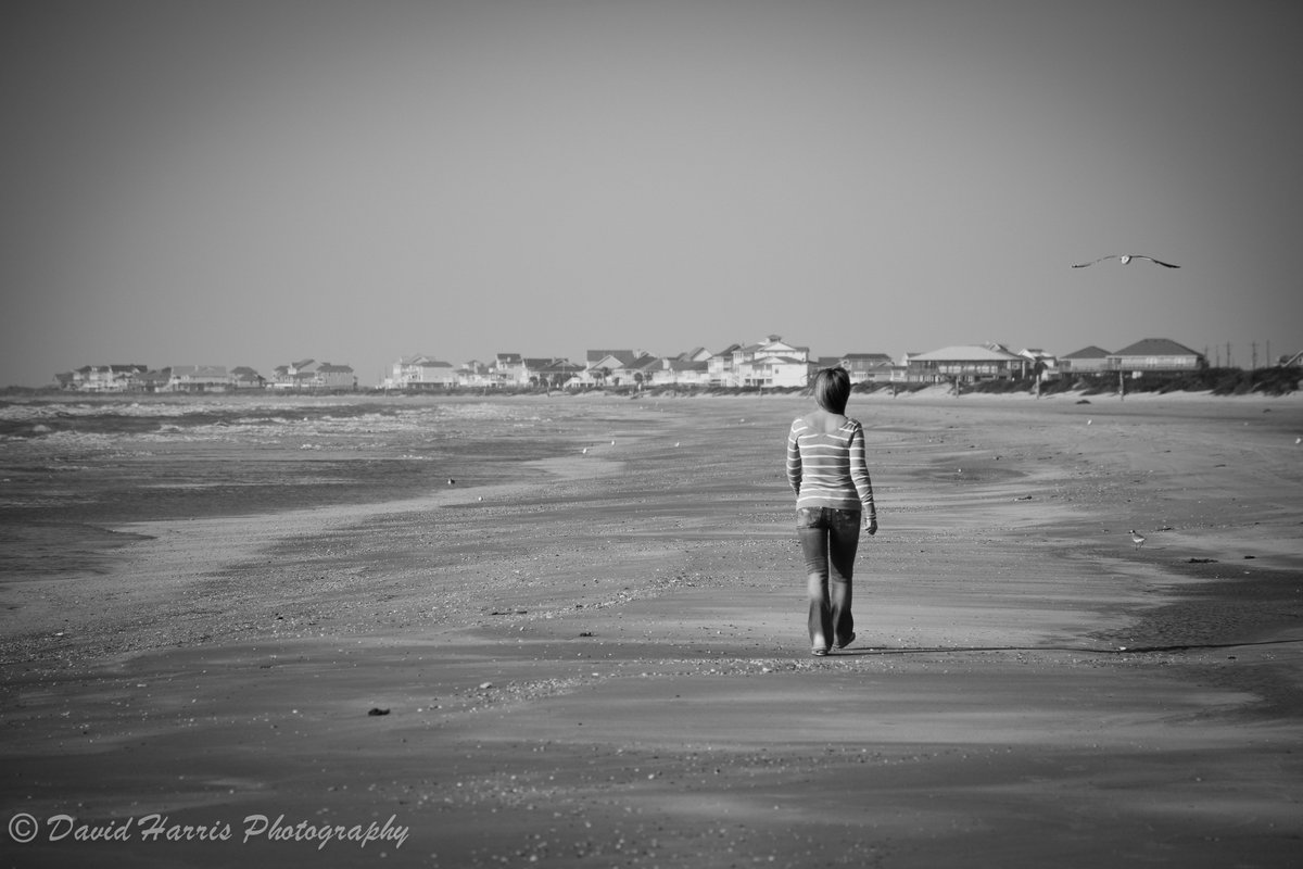 BolivarTourism's tweet photo. Get-away for the day on Bolivar Peninsula Texas @DayTrippinTexas !!!!
#forttravis #beach #bolivarpeninsulatexas https://t.co/gkztrhuahY