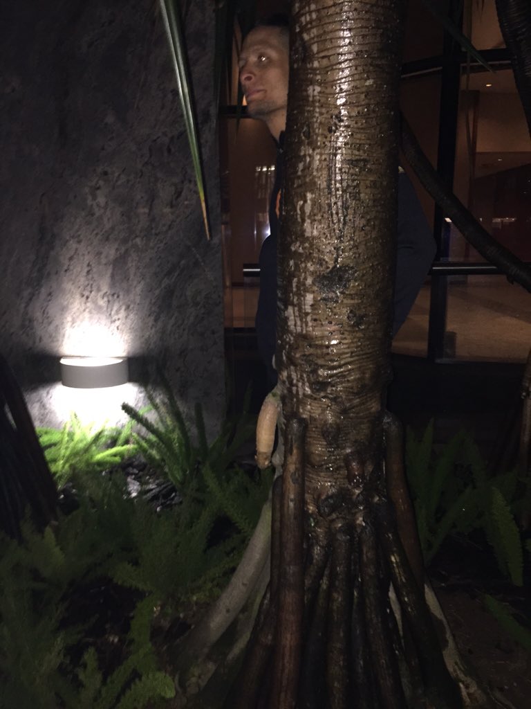abirchakMMA's tweet photo. But on a lighter note I walked around the hotel & found this tree #whenyouseeit #justroots @MMARoasted #UFCSaoPaulo https://t.co/b1vXmt2mkB