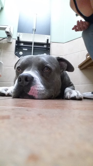 We are at the Vet because the baby is not feeling good :'/ https://t.co/BSe3zzt9XH<a href="/tag/fan"class="tags"><span>#fan</span></a>