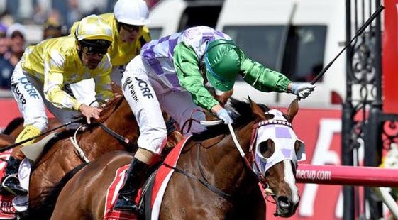 9NewsMelb's tweet photo. 'Get stuffed, women can do anything' - @mj_payne after her #MelbourneCup win: https://t.co/vtuuzY0AVG #9News https://t.co/2l11OoQuVM