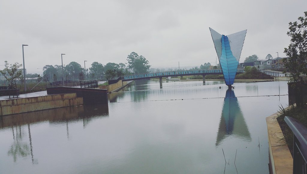 Thornton_Life's tweet photo. Grey and drizzly day at #ThorntonCanal #ThorntonLife #reflections #novemberrain #gettingrainedon #Phoenix https://t.co/inZjnJqxZA