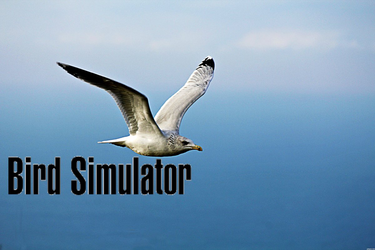 NinjaTedddyBear's tweet photo. Who's excited for Bird Simulator? Spread the #BirdSim to support the game! https://t.co/KZOyuxEIym