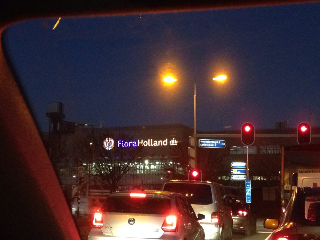 AvanDoorn_'s tweet photo. Vandaag beginnen in #Naaldwijk#FloraHolland#tence#inzetbureau @Inzetbureau https://t.co/3fWOXT19jT
