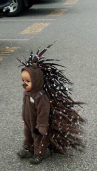USCFrankie's tweet photo. With halloween passing and all the great costumes being posted, I wish my mom would have dressed me up like this. https://t.co/drg9t2gSH3